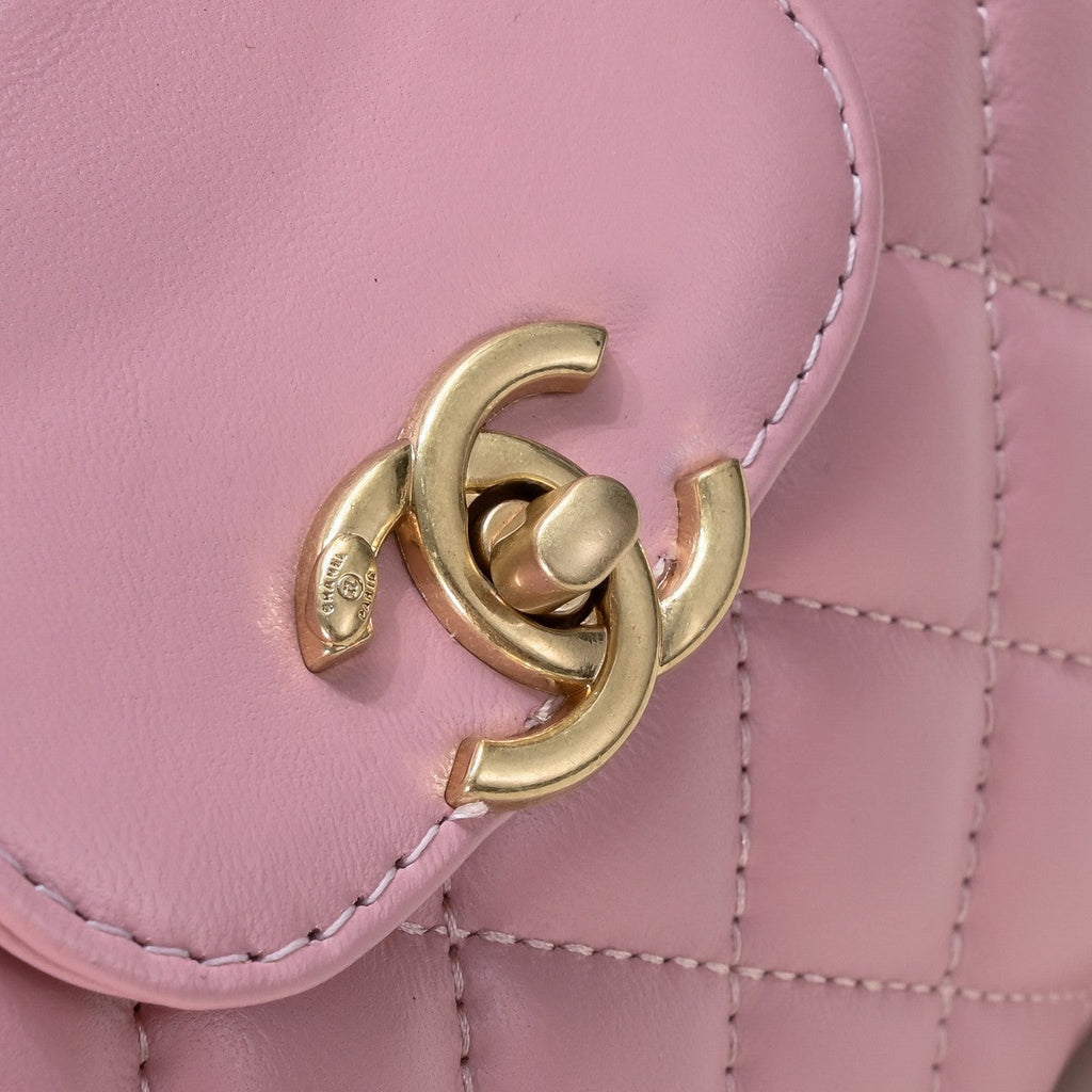 CAMELLIAS 19CM 6170 PINK