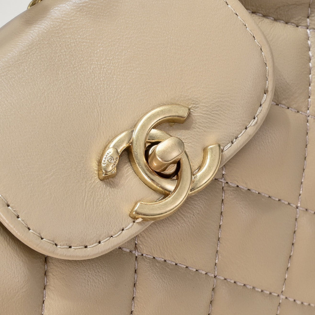 CAMELLIAS 19CM 6170 PALE BROWN
