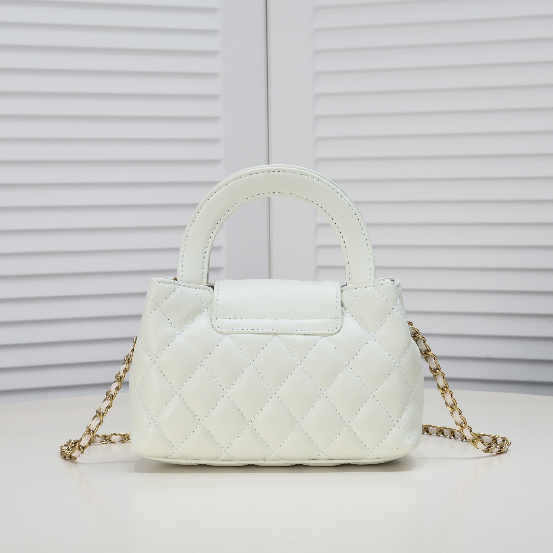 CAMELLIAS 19CM 6170 WHITE