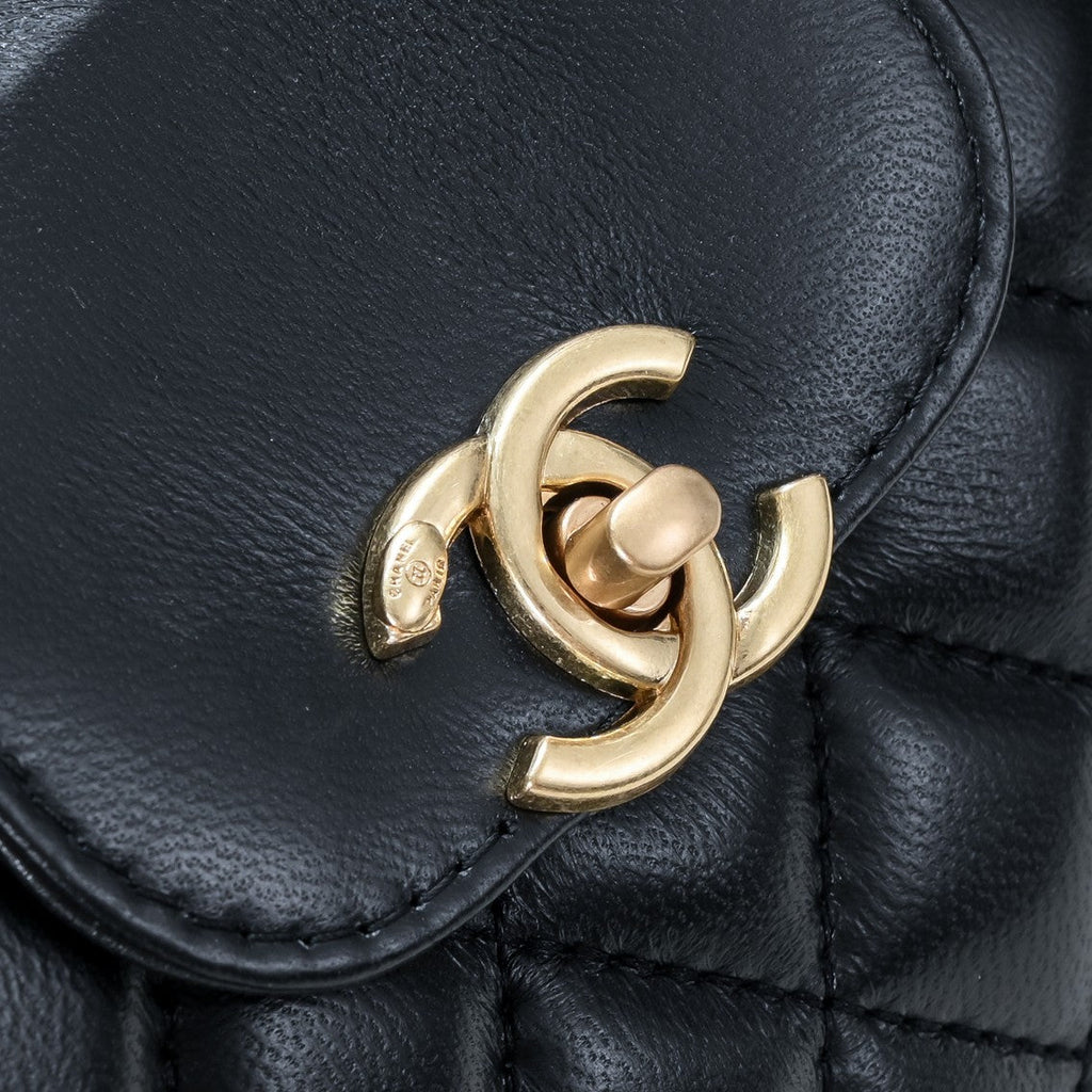 CAMELLIAS 19CM 6170 BLACK