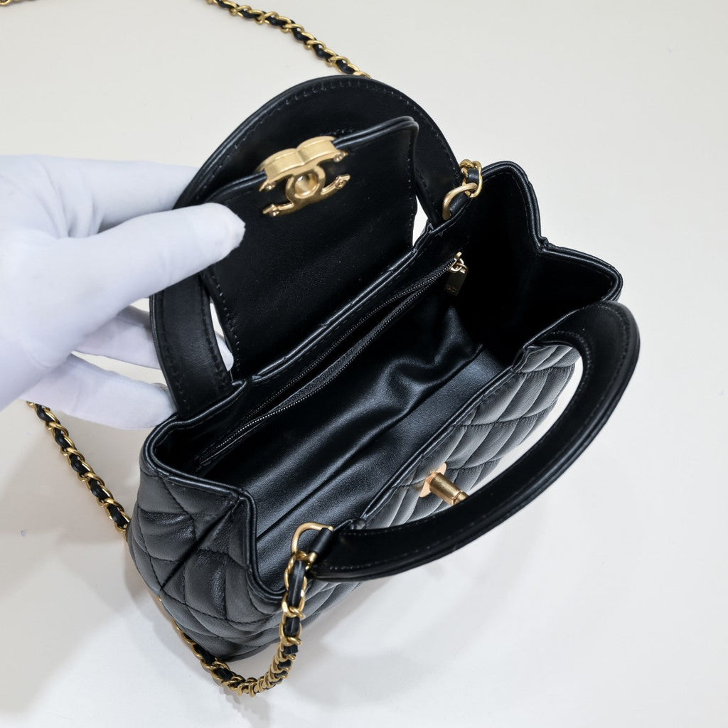 CAMELLIAS 19CM 6170 BLACK