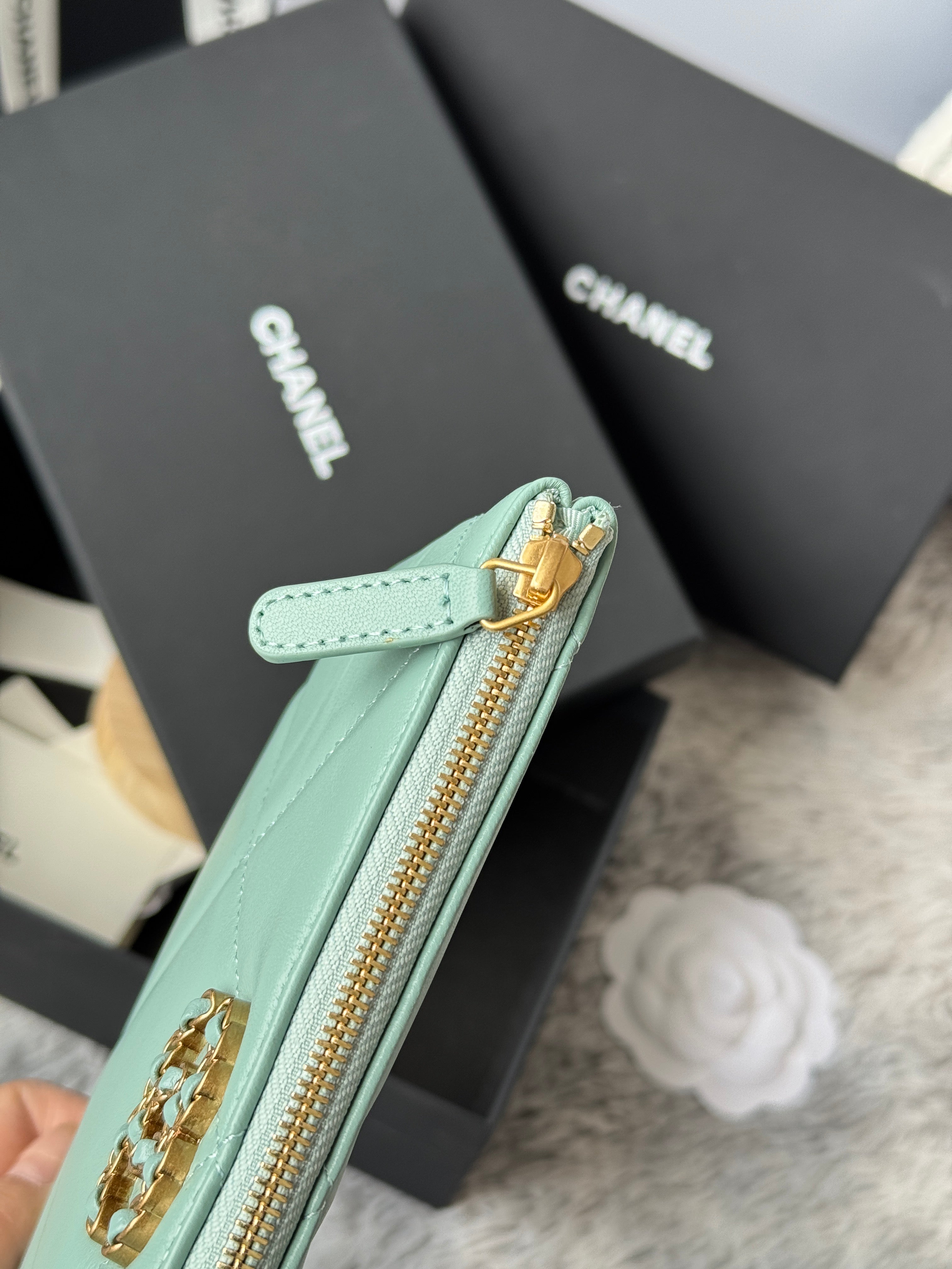 CLASSIC ZIPPER POUCH 20 IN BABY GREEN SMOOTH LAMBSKIN GOLD-TONE HARDWARE