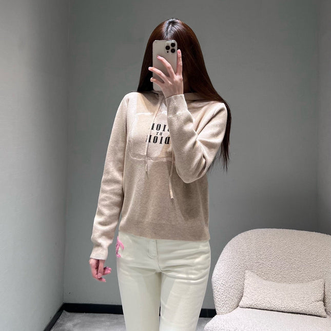 DIOR 26S HOODIE 890