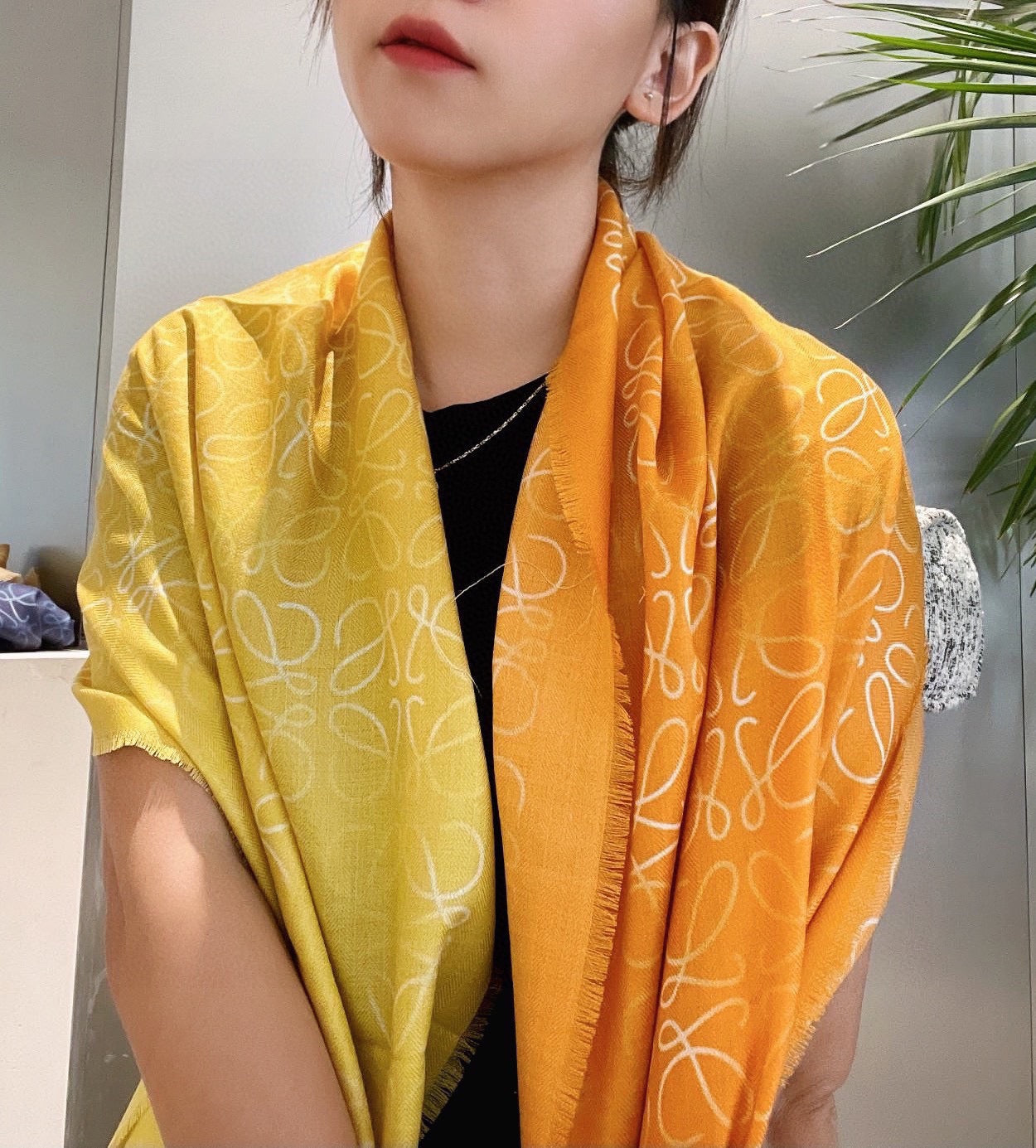 LOEWE 25S SCARF 200 IN CASHMERE SILK 0001