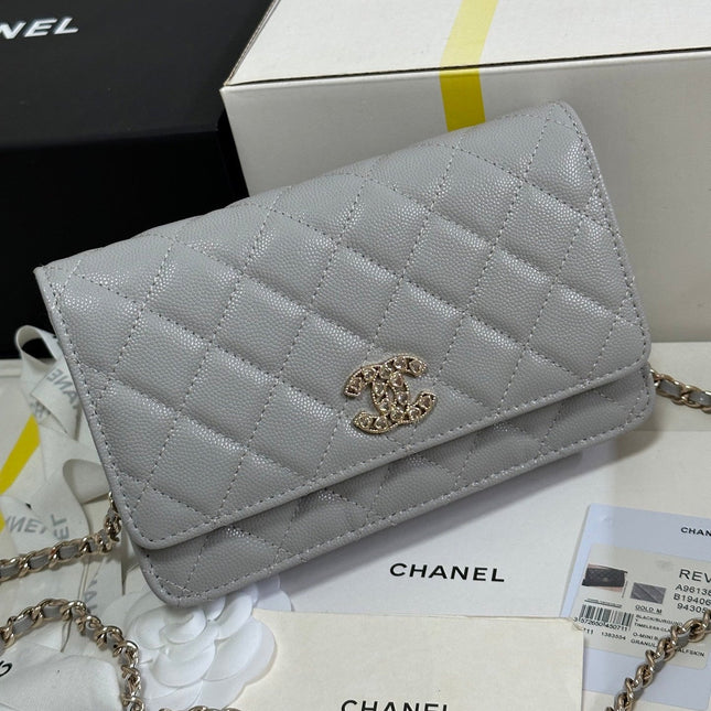STRASS WOC ENTRUPY BAG 19 IN SPANISH GREY CALFSKIN GOLD HARDWARE